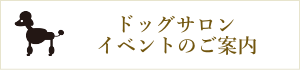 ドッグサロンイベントご案内