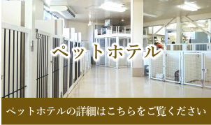夜間もスタッフが常駐するペットホテル